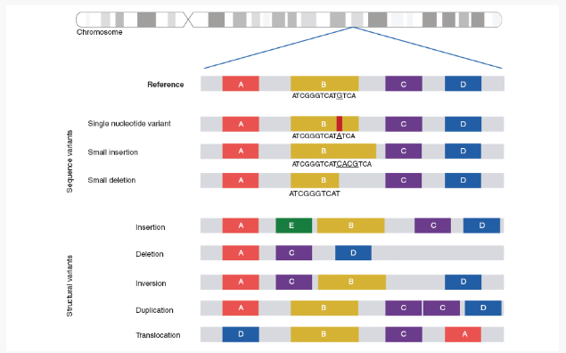 The Diversity of Pathogenic Variants